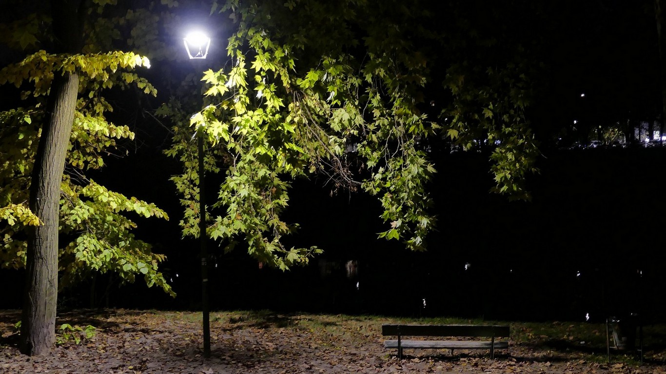 Torino Parco Michelotti - 11/2022